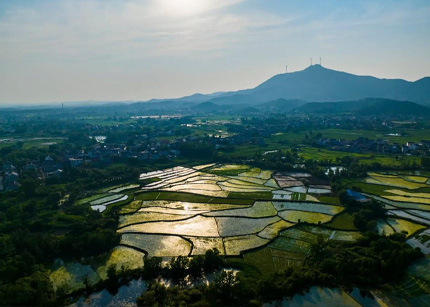 蕴萃花开——安徽省太湖县徐桥镇新丰小学开展“双减”工作纪实