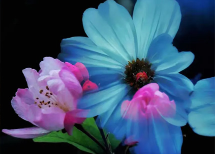 摄影技巧:多重曝光怎么拍?