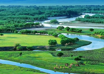 盘点中国最美的13大草原,你去过几个?