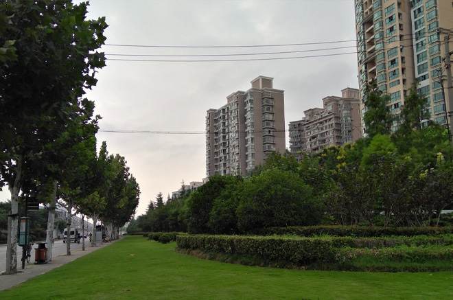 普陀区万里街道:春风万里暖人心 众志成城控疫情