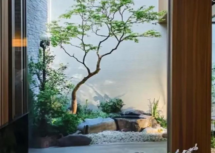 丁白：黑白禅机 明月山禅境 艺术多元化的碰撞与裂合在线研讨会