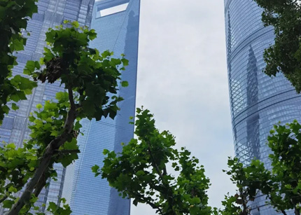 “鉴史御今，戎耀申城”主题系列活动启动： 编纂《上海退役军人志》 实现从“0到1”突破