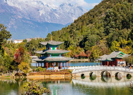 大美云南！从“金色花海”到“金色经济”：云南罗平近百万亩油菜花如何吸引全球游客，助力乡村振兴？