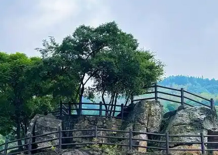 心标象外，志结霞门 一一论金熙长书道中的隐逸文化