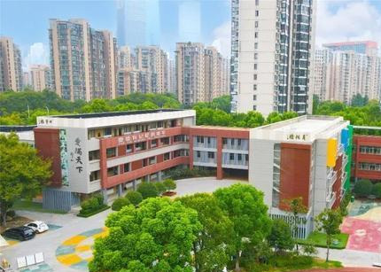 心系乡梓 情满新小——全国政协常委、九三学会中央副主席赵雯一行赴新城小学视察调研