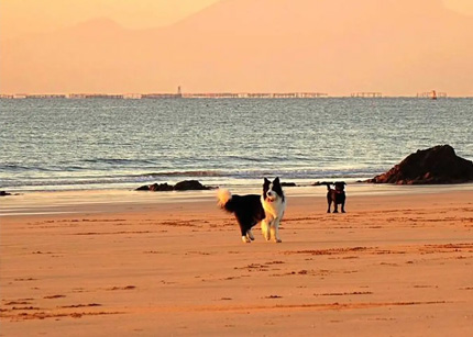 抒写新时代郑州摄影事业新华章 郑州市摄影家协会新一届主席团成员亮相