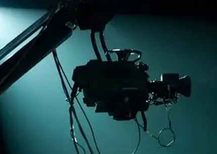 上海哪家公司的网红比较专业?