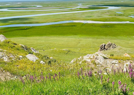 中国文联文艺志愿服务团走进新疆