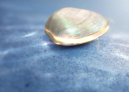 第一财经电视台的联系方式是什么?