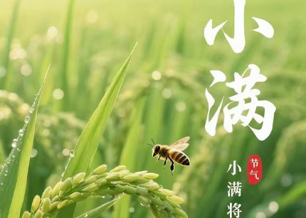 小满 （二十四节气之一）